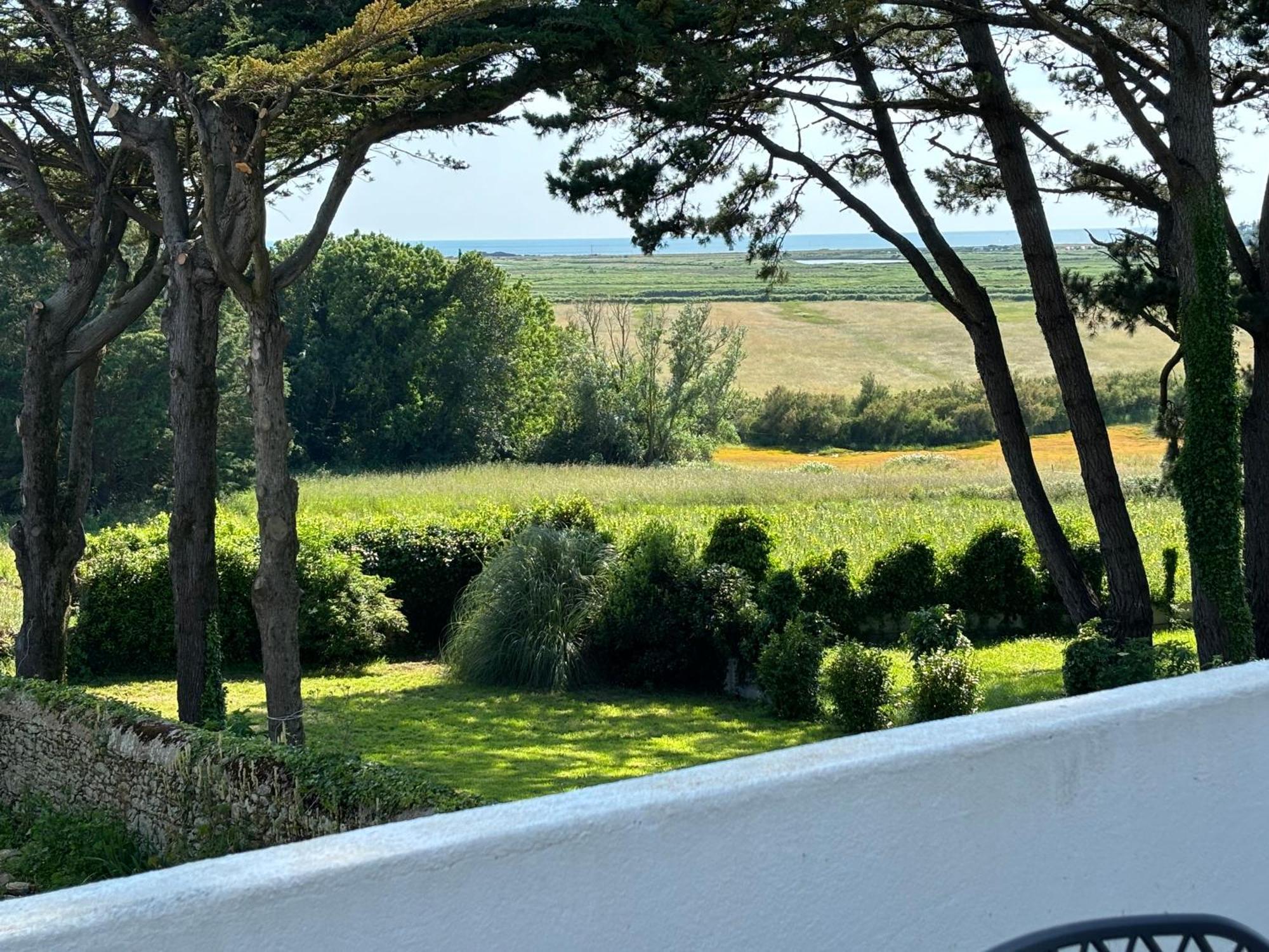 Villa Vieilles Vignes Vue Mer Billiers Exterior photo